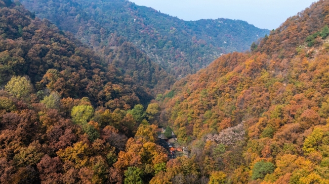 “瞰見秦嶺 詩畫終南”媒體景區(qū)行活動(dòng) 邂逅南五臺(tái)秋韻